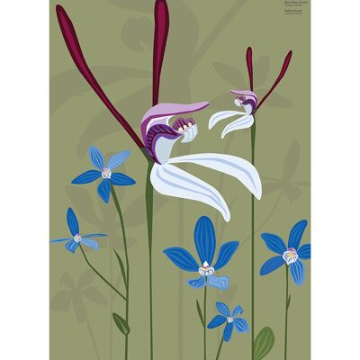 Mokoh (Rabbit Orchid) , 30 x 40cm , PPR54134