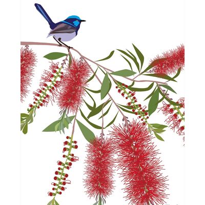 Mokoh (Wren Callistemon) , 40 x 50cm , PPR43985