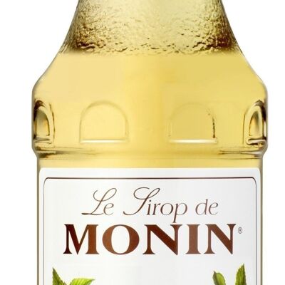 MONIN Hazelnut Syrup to flavor your hot drinks and Mother's Day desserts - Natural flavors - 25cl