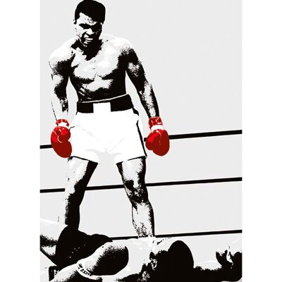 Muhammad Ali (Gloves) , 40 x 50cm , PPR43011