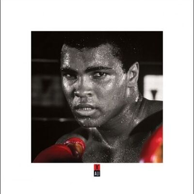 Muhammad Ali (Boxing Gloves) , 40 x 40cm , PPR45165