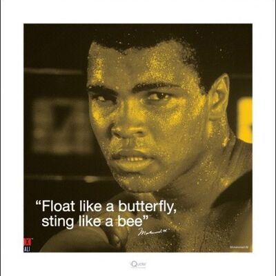 Muhammad Ali (i.Quote - Sting Like a Bee) , 40 x 40cm , PPR45226