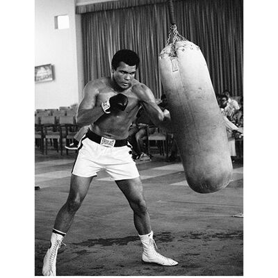 Muhammad Ali (Punch Bag) , 60 x 80cm , PPR40839