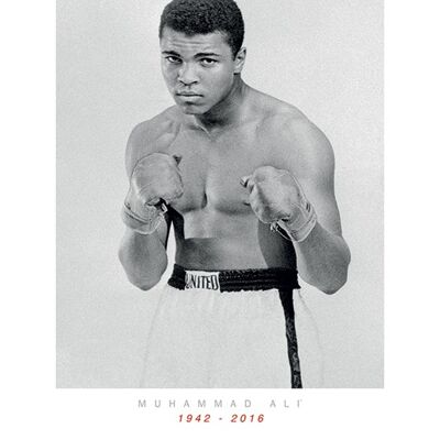 Muhammad Ali Commemorative (Stance) , 60 x 80cm , PPR40826