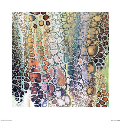 Nancy Wood (Lava Flow) , 60 x 60cm , PPR46247