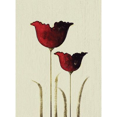 Nicola Evans (Tulips II) , 30 x 40cm , 42219