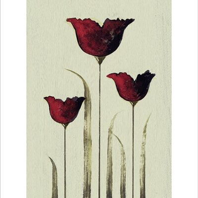 Nicola Evans (Tulips III) , 30 x 40cm , 42220