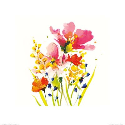 Nicola Evans (Summer Bouquet) , 40 x 40cm , PPR45387
