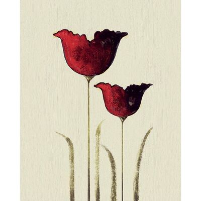 Nicola Evans (Tulips II) , 40 x 50cm , PPR43553