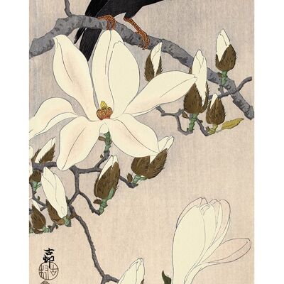 Ohara Koson (Myna on Magnolia Branch) , 50 x 100cm , PPR41269