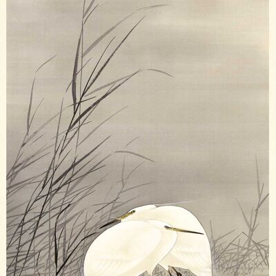 Ohara Koson (Egrets in a Swamp) , 50 x 100cm , PPR41286
