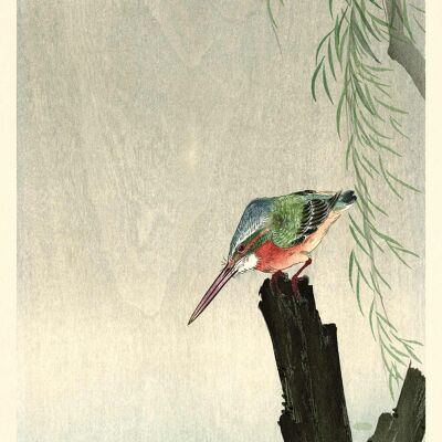 Ohara Koson (Kingfisher) , 50 x 100cm , PPR41289