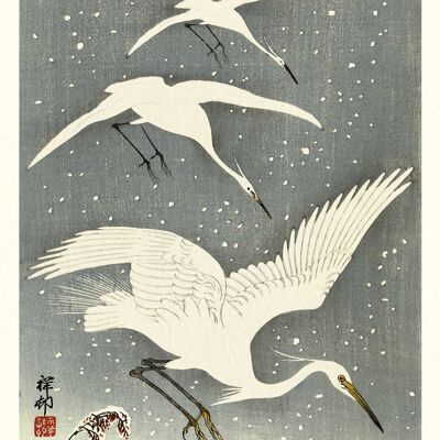 Ohara Koson (White Birds in Snow) , 50 x 100cm , PPR41292