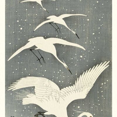 Ohara Koson (White Birds in Snow) , 50 x 100cm , PPR41292