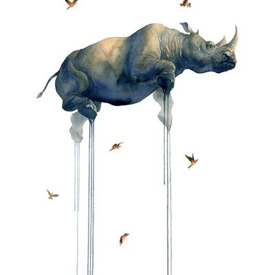 Oliver Flores (Journey 2 Rhino) , 60 x 80cm , PPR51012