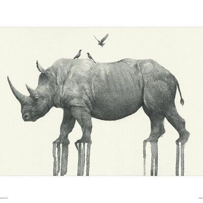 Oliver Flores (Majestic Rhinoceros) , 30 x 40cm , PPR44533