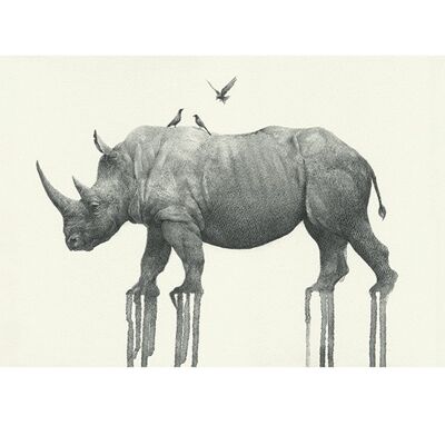 Oliver Flores (Majestic Rhinoceros) , 60 x 80cm , PPR51014