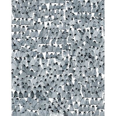 Oliver Flores (Penguins Composition) , 40 x 50cm , PPR43551
