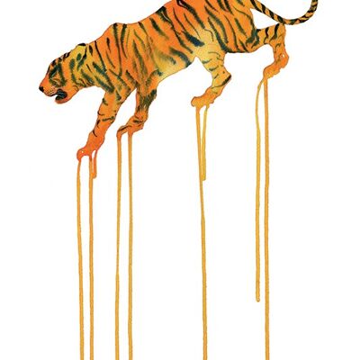 Oliver Flores (Tiger) , 60 x 80cm , PPR51022