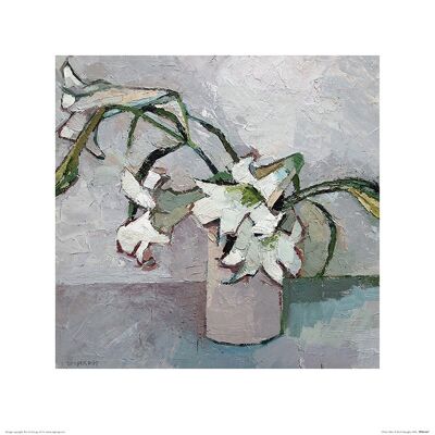 Paul Donaghy (White Lillies) , 40 x 40cm , PPR45687