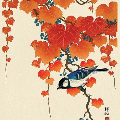 Ohara Koson (Bird and Red Ivy) , 30 x 40cm , PPR44817