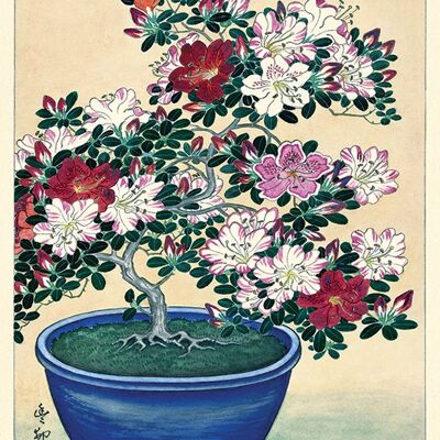 Ohara Koson (Blooming Azalea in Blue Pot) , 30 x 40cm , PPR44818