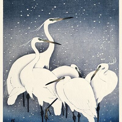 Ohara Koson (Egrets on a Snowy Night) , 30 x 40cm , PPR44822