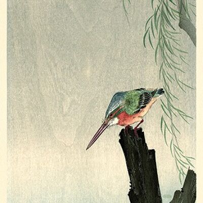 Ohara Koson (Kingfisher) , 30 x 60cm , PPR41729