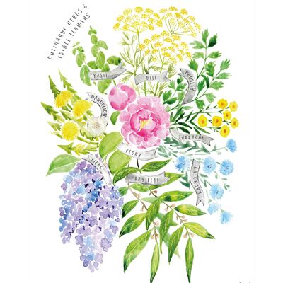Rosana Laiz (Culinary Herbs & Edible Flowers Watercolour Bouquet) , 40 x 50cm , PPR43879