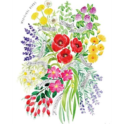 Rosana Laiz (Medicinal herbs Watercolour Bouquet) , 40 x 50cm , PPR43878