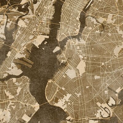 Rosana Laiz (New York City Map) , 40 x 50cm , PPR43906