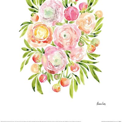 Rosana Laiz (Colourful Ranunculus Watercolour Bouquet) , 30 x 40cm , PPR54013