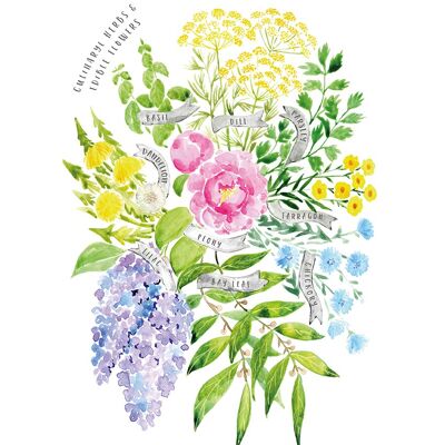 Rosana Laiz (Culinary Herbs & Edible Flowers Watercolour Bouquet) , 30 x 40cm , PPR54016