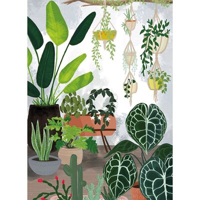 Rosana Laiz (Home Jungle) , 30 x 40cm , PPR54011