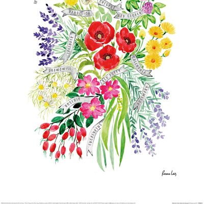 Rosana Laiz (Medicinal herbs Watercolour Bouquet) , 30 x 40cm , PPR54015