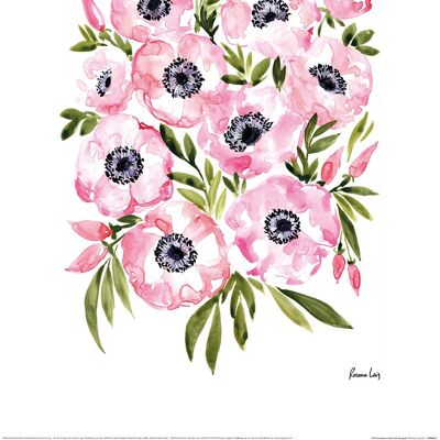 Rosana Laiz (Pink Anemones Watercolor Bouquet) , 30 x 40cm , PPR54012
