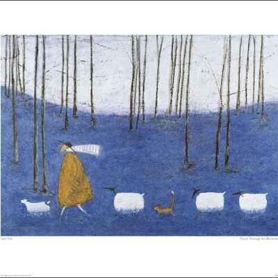 Sam Toft (Tiptoe Through The Bluebells) , 40 x 50cm , 43038