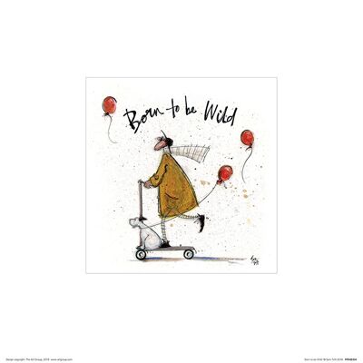 Sam Toft (Born to be Wild) , 30 x 30cm , PPR48304