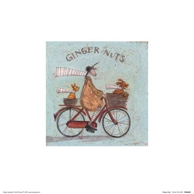 Sam Toft (Ginger Nuts) , 30 x 30cm , PPR48400