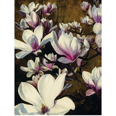 Sarah Caswell (Magnolia Silk) , 60 x 80cm , PPR40411