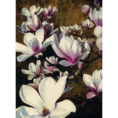 Sarah Caswell (Magnolia Silk) , 30 x 40cm , PPR44183