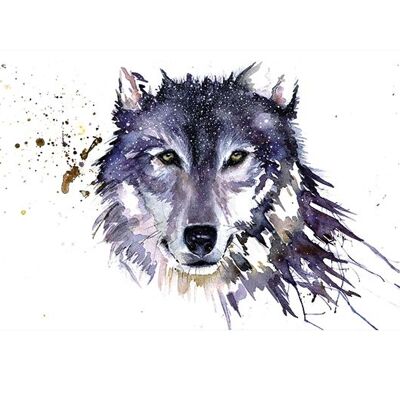 Sarah Stokes (Snow Wolf) , 60 x 80cm , PPR40425