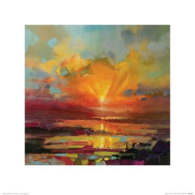 Scott Naismith (Optimism Sunrise Study) , 40 x 40cm , PPR45560