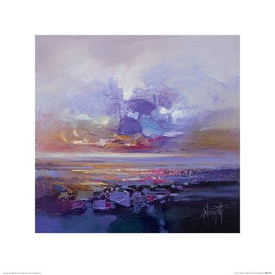 Scott Naismith (Colour Collision Study) , 40 x 40cm , PPR45620