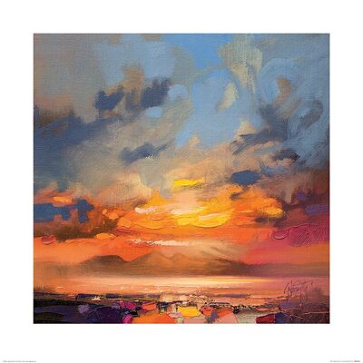 Scott Naismith (Rum Light Study) , 60 x 60cm , PPR46094