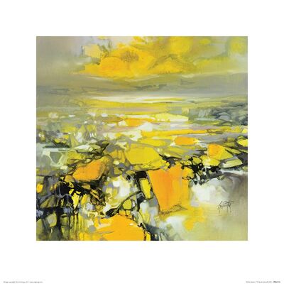 Scott Naismith (Yellow Matter 2) , 40 x 40cm , PPR45745
