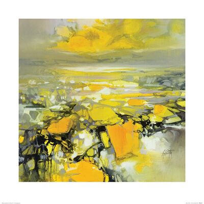 Scott Naismith (Yellow Matter 2) , 60 x 60cm , PPR46182