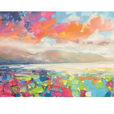 Scott Naismith (Resonant Colour) , 30 x 60cm , PPR41641