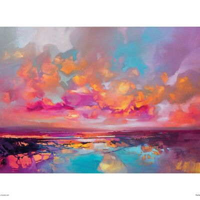 Scott Naismith (Fractal Shore) , 30 x 40cm , PPR44811