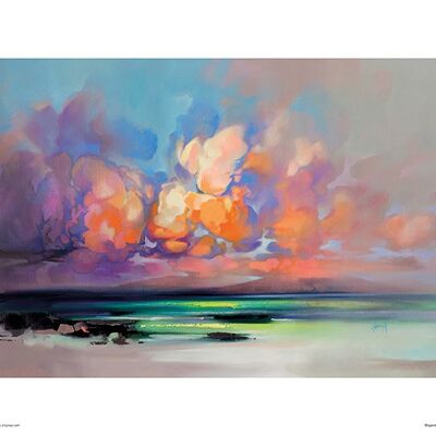 Scott Naismith (Organic Cloud) , 30 x 40cm , PPR44812